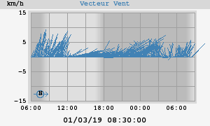 Wind Vector