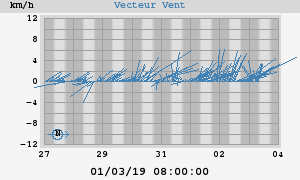 Wind Vector